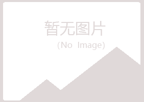 鲁山县雁菱化学有限公司